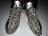 Authentic Y 350 V2 “Zyon”