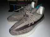 Authentic Y 350 V2 “Zyon”