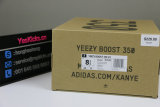 Authentic Y 350 V2 “Zyon”