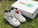 Authentic Air Jordan 6 GS “Hare”