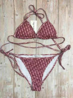 Dior Bikini (11)
