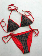 Fendi Bikini (107)