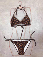 LV Bikini (10)
