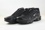 Air Max Plus Shoes - 100