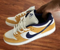 Nike SB Dunk Low (32)