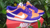 Nike SB Dunk Low Women (23)
