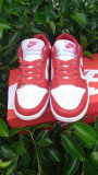 Nike SB Dunk Low Women (22)