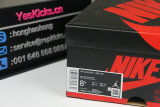 Authentic Dior x Ai Jordan 1 High (With Nike Box)