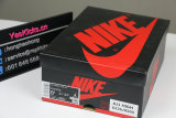 Authentic Dior x Ai Jordan 1 High (With Nike Box)