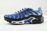 Air Max Plus Shoes - 090