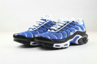 Air Max Plus Shoes - 090