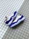 Perfect Air Jordan 11 Low WMN “Concord”