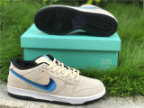 Authentic Nike SB Dunk Low Pro