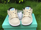 Authentic Nike SB Dunk Low Pro
