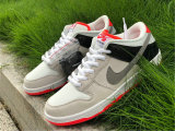 Authentic Nike SB Dunk Low “Infrared” GS