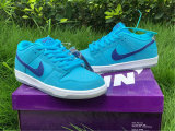 Authentic Nike SB Dunk Low “Blue Fury” GS