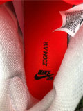 Authentic Nike SB Dunk Low “Infrared” GS