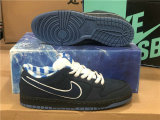 Authentic Concepts x Nike SB Dunk Low Blue GS