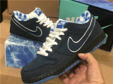 Authentic Concepts x Nike SB Dunk Low Blue GS