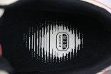 Authentic Nike DUNK SB Paris