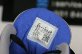 Authentic Ai Jordan 3 “Varsity Royal”