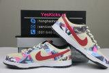 Authentic Nike DUNK SB Paris