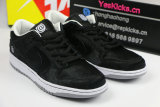 Authentic Medicom Toy x Nike SB Dunk Low “BE@RBRICK”