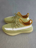AD Y 350 V2 Shoes (15)