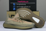 Authentic Y 350 v2 “Eliada”