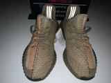 Authentic Y 350 v2 “Eliada”