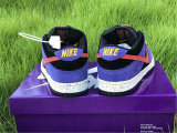 Authentic Nike SB Dunk Low “ACG” GS