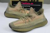Authentic Y 350 v2 “Eliada”