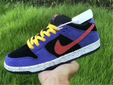 Authentic Nike SB Dunk Low “ACG” GS