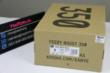 Authentic Y 350 v2 “Eliada”