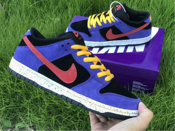 Authentic Nike SB Dunk Low “ACG” GS