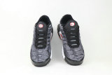 Air Max Plus Shoes - 083