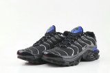 Air Max Plus Shoes - 079