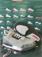 Air Jordan 3 Shoes AAA (65)