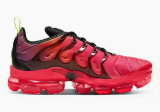 Nike Air VaporMax Plus (51)