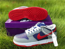 Authentic Nike SB Dunk Low GS