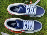 Authentic Nike SB Dunk Low