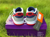 Authentic Nike SB Dunk Low