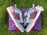 Authentic Nike SB Dunk Low
