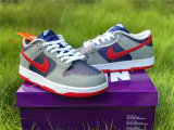 Authentic Nike SB Dunk Low