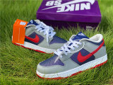 Authentic Nike SB Dunk Low