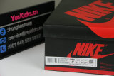 Authentic Air Jordan 1 High OG “Bio Hack”