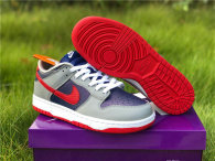 Authentic Nike SB Dunk Low