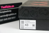 Authentic Kaws x Air Jordan 3