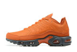 Air Max Plus Shoes - 072
