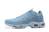 Air Max Plus Shoes - 074